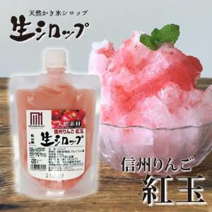 天然フルーツのかき氷シロップ 氷屋さんちの削氷 〔けずりひ〕