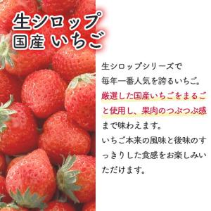 【送料込】 フルーツのかき氷シロップ 氷屋さん...の詳細画像3