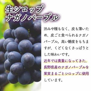 【送料込】 フルーツのかき氷シロップ 氷屋さん...の詳細画像5