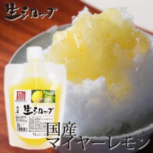 天然フルーツのかき氷シロップ 氷屋さんちの削氷 〔けずりひ〕