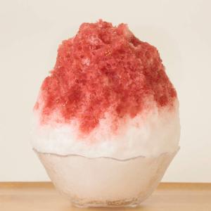 フルーツのかき氷シロップ 氷屋さんちの削氷 〔...の詳細画像4