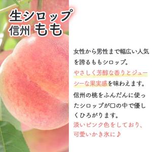 天然フルーツのかき氷シロップ 氷屋さんちの削氷...の詳細画像2