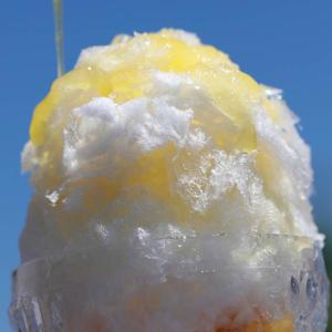フルーツのかき氷シロップ 氷屋さんちの削氷 〔...の詳細画像3