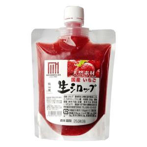 フルーツのかき氷シロップ 氷屋さんちの削氷 〔...の詳細画像3