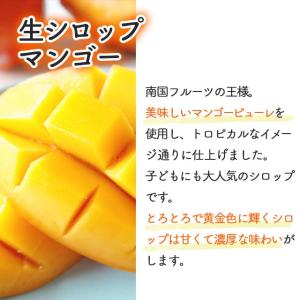 フルーツのかき氷シロップ 氷屋さんちの削氷 〔...の詳細画像2