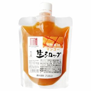 フルーツのかき氷シロップ 氷屋さんちの削氷 〔...の詳細画像3