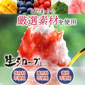 フルーツのかき氷シロップ 氷屋さんちの削氷 〔...の詳細画像1