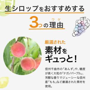 フルーツのかき氷シロップ 氷屋さんちの削氷 〔...の詳細画像5