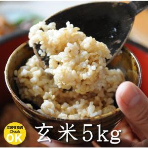 長野県産 れんげ米 玄米・5kg｜tekuteku-net