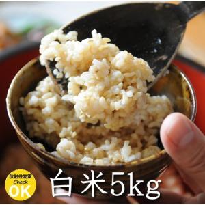 長野県産 れんげ米 白米・5kg｜tekuteku-net