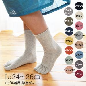 大法紡績 絹木綿靴下 〔5本指〕 Lサイズ 〔24-26cm〕 全15色 【メール便可】｜tekuteku-net