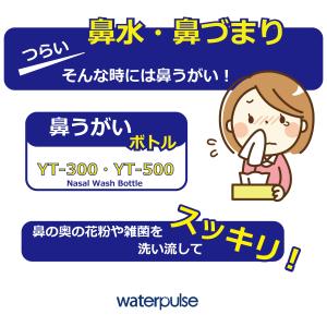 精製塩 (2.7g/1包)×30包×2= (6...の詳細画像5
