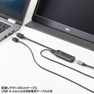 HDMI-Type-C(DP Altモード)変...の詳細画像2