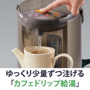 マイコン沸とう電動ポット 3.0L メタリック...の詳細画像3