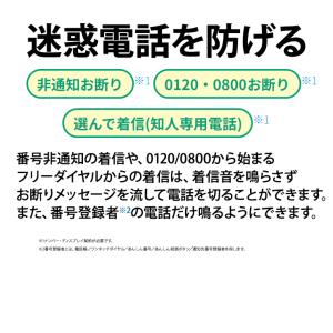 あんしんフラッシュランプ搭載 防犯 電話機 子...の詳細画像5