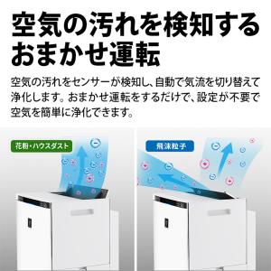 加湿空気清浄機 プラズマクラスターNEXT搭載...の詳細画像5
