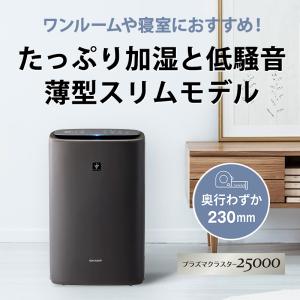 【特価セール】 加湿空気清浄機 プラズマクラス...の詳細画像1