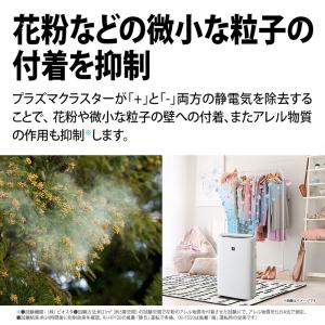 【特価セール】 加湿空気清浄機 プラズマクラス...の詳細画像4