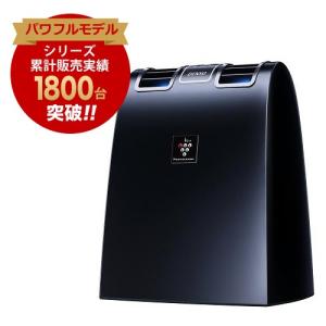 [200円割引クーポンあり] DENSO (デンソー) PFDNX-B 車載用プラズマクラスターイオン発生機 ブラック パワフルモデル★