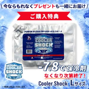圧倒的に冷える 冷蔵服4 半袖 シルバーグレー...の詳細画像1