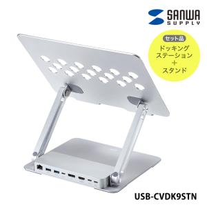 USB Type-Cドッキングステーション SANWA SUPPLY  USB-CVDK9STN