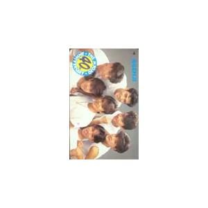 テレカ テレホンカード 光GENJI 明星 40周年 H5005-0024