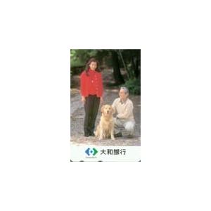 テレカ テレホンカード 千堂あきほ 大和銀行 JS007-0028