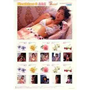 Pスタンプ ほしのあき アイドルPスタンプシリーズ PSTA-0017