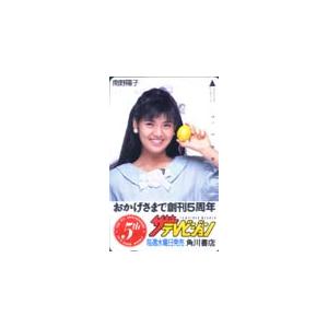 テレホンカード アイドル テレカ 南野陽子 ザテレビジョン 5周年 RM007-0001