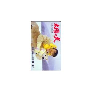 テレホンカード アイドル テレカ 坂上香織 太陽の犬 RS003-0004