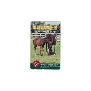 テレカ テレホンカード ハギノトップレディ 競馬四季報・秋 サラブレッド血統センター UCH01-0...