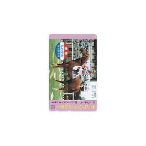 テレカ サンブリッジシチー 私の愛馬 京都競馬場 UCS01-0340 テレホンカード