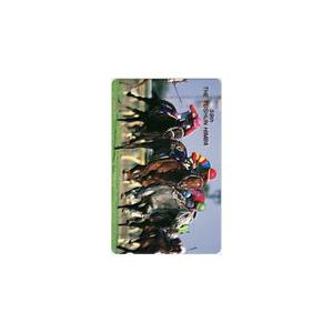 テレカ テレホンカード 第59回 優駿牝馬（オークス） エリモエクセル UP001-0007