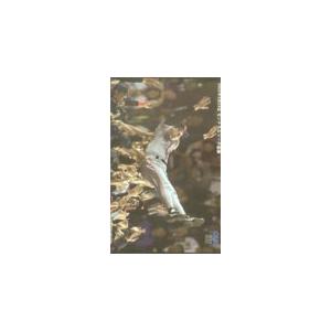 クオカード ジャイアンツ2000年9月24日セリーグ優勝 YG992-0030