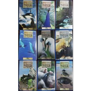 【VHS】 Trials of Life 生命の試練 9本セット