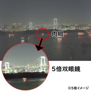 双眼鏡 5倍 21口径 SIGHTRON SA...の詳細画像4