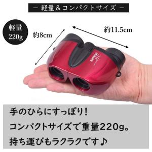 双眼鏡 5倍 21口径 SIGHTRON SA...の詳細画像5