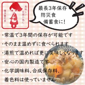 非常食 防災食 3年保存 10点セット 肉 魚...の詳細画像2