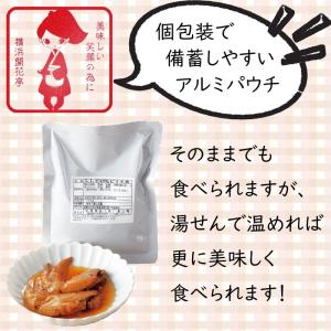 非常食 防災食 3年保存 10点セット 肉 魚...の詳細画像3