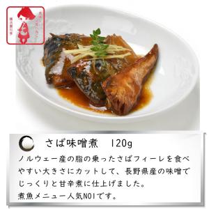 非常食 防災食 3年保存 10点セット 肉 魚...の詳細画像4