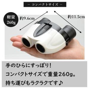 双眼鏡 10〜30倍 21口径 特典付き 観劇...の詳細画像1