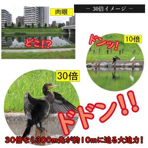双眼鏡 10〜30倍 21口径 特典付き 観劇...の詳細画像2