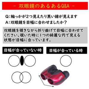 双眼鏡 10〜30倍 21口径 特典付き 観劇...の詳細画像5