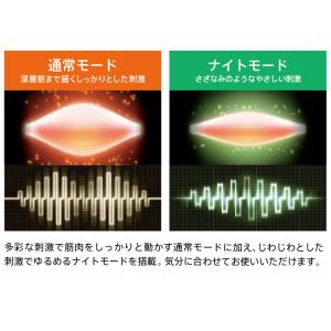 ゾーガンキン マチュア EMS 美顔器 正規販...の詳細画像4