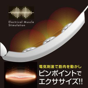 ゾーガンキン マチュア EMS 美顔器 正規販...の詳細画像5