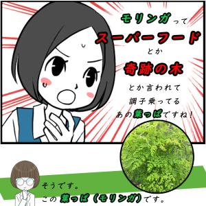 青汁 乳酸菌 沖縄県産 モリンガ フルーツ青汁...の詳細画像3