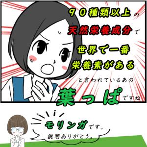 青汁 乳酸菌 沖縄県産 モリンガ フルーツ青汁...の詳細画像4