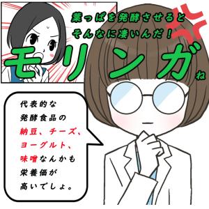 青汁 乳酸菌 沖縄県産 モリンガ フルーツ青汁...の詳細画像5