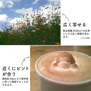 ケンコー デジタルカメラ KC-AF11 オー...の詳細画像3