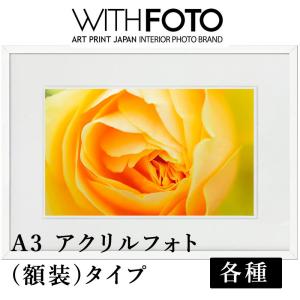 ボッティチェリ ヴィーナス誕生 6号 複製名画 絵画 ジクレー レプリカ